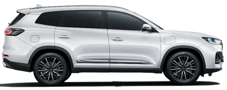 CHERY OMADA 5 